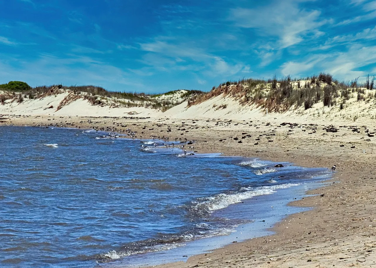 Dunes on the Delaware coast — photograph by bernhardjaeck on Pixabay