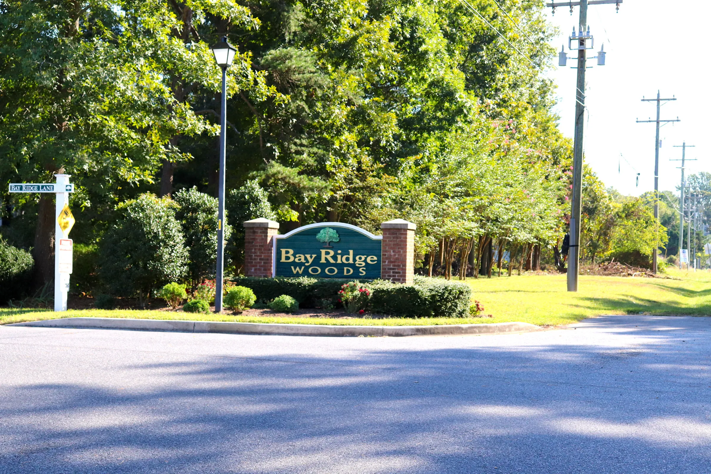 Bay Ridge Woods